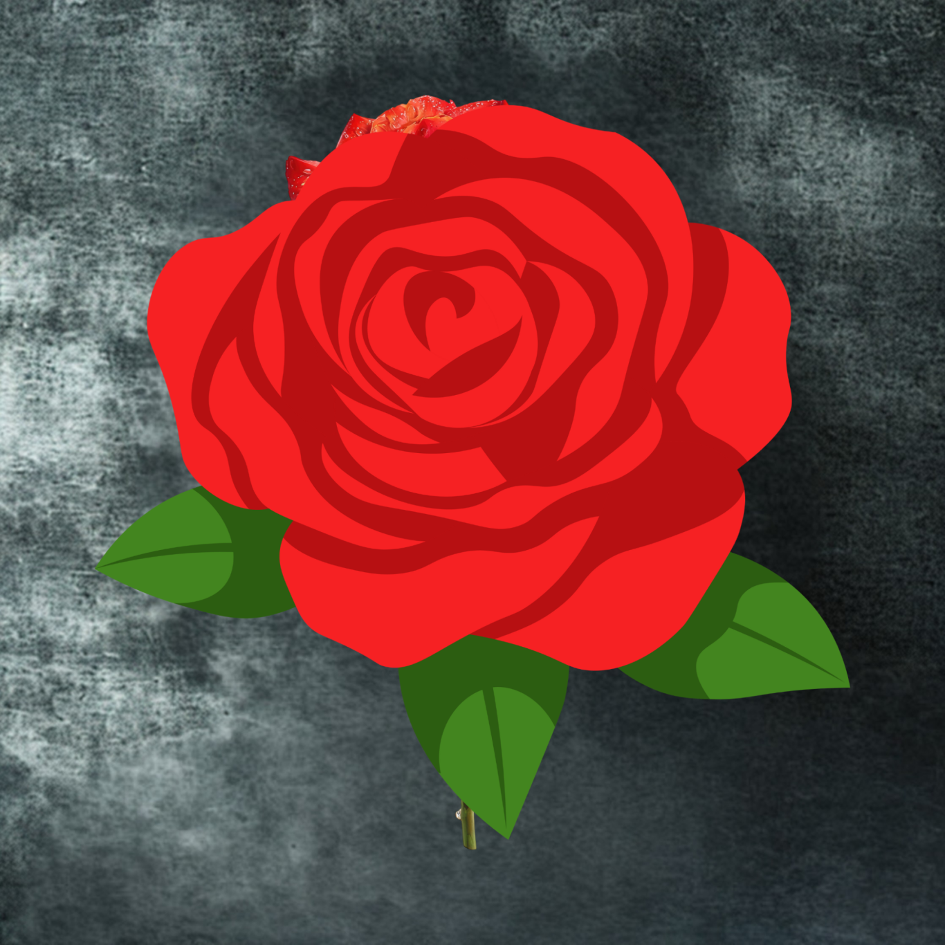 Maureen Case Beaubiem